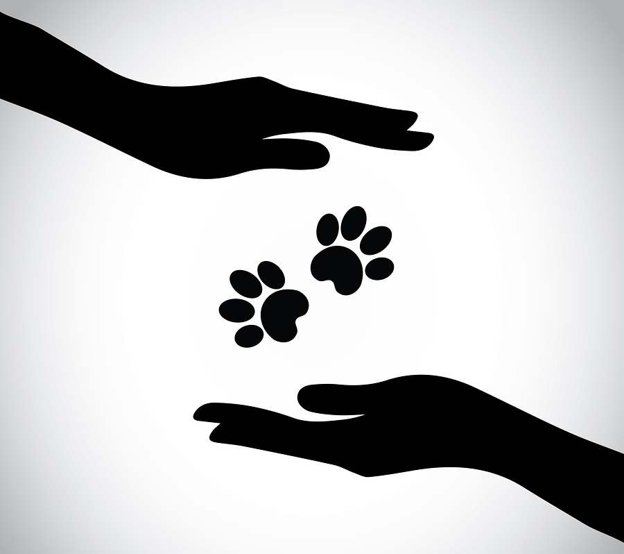 hand silhouette protecting paws of dog or cat or wild animal