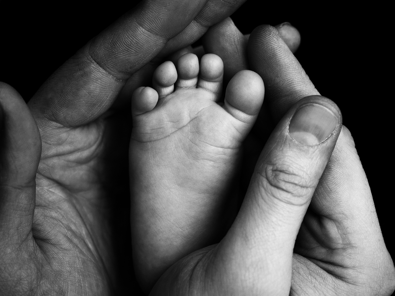 Cute child baby babe little foot in the father hands. Classical closeup shot about family values and parents child children love. Baby babe body foot leg. Father hand fingers. New born. Black white